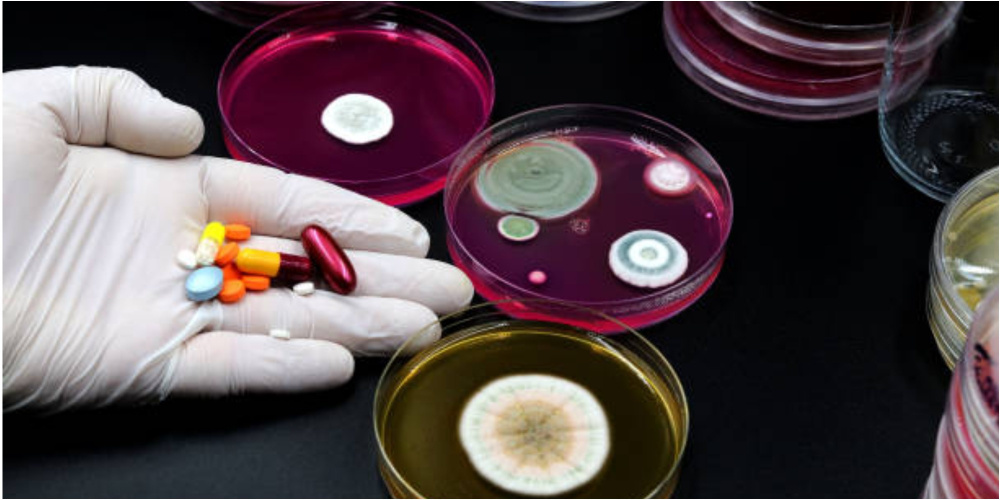 Устойчивость бактерий к антибиотикам растет. Что предлагают для Бишкека
