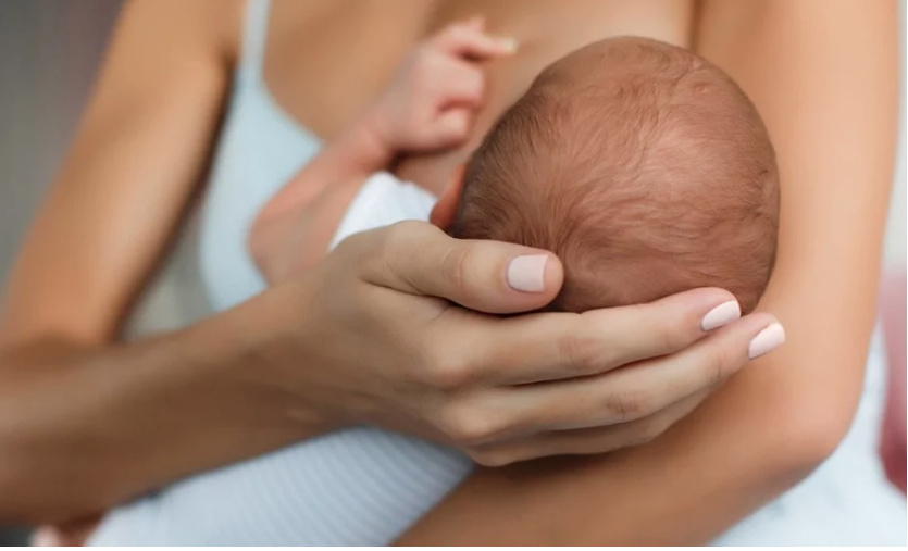 Новое пособие для всех детей. Поправки вынесли на общественное обсуждение