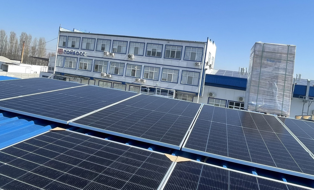 От традиций к инновациям: как "Тойбосс" заботится об экологии