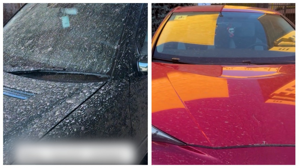 Call-центр: "Тазалык" моет улицы так, что потом невозможно отмыть машины