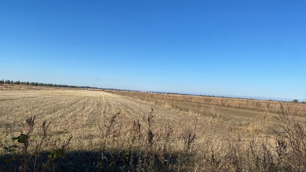 На окраине Бишкека выделят 19 га под кладбище