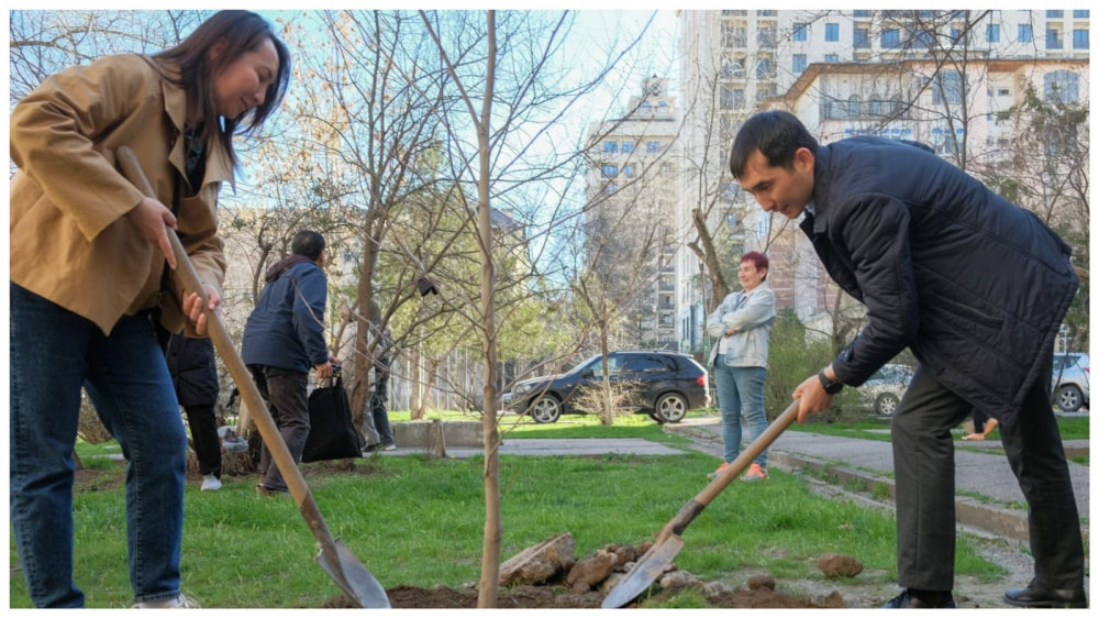В Бишкеке появился сквер им. Альгимантаса Видугириса - с чинарой как символом его кино