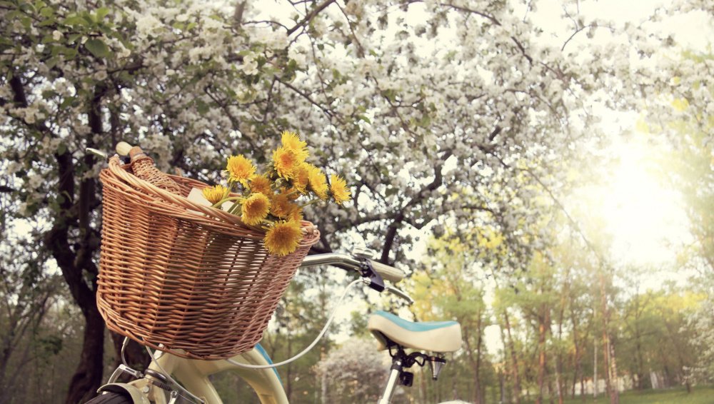 Прогноз погоды в Бишкеке и по Кыргызстану на выходные