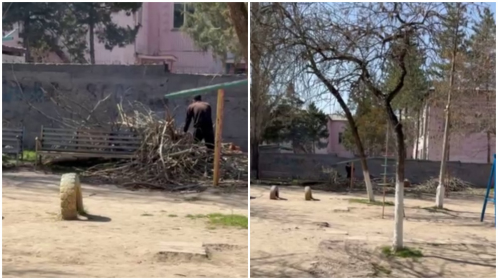 Call-центр: жители мкр. "Аламедин-1" пожаловались на вырубку деревьев во дворе