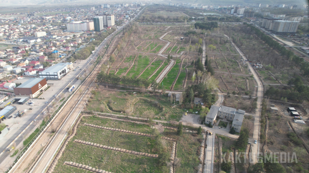 Глава НАН КР прокомментировал вырубку деревьев в Ботсаду