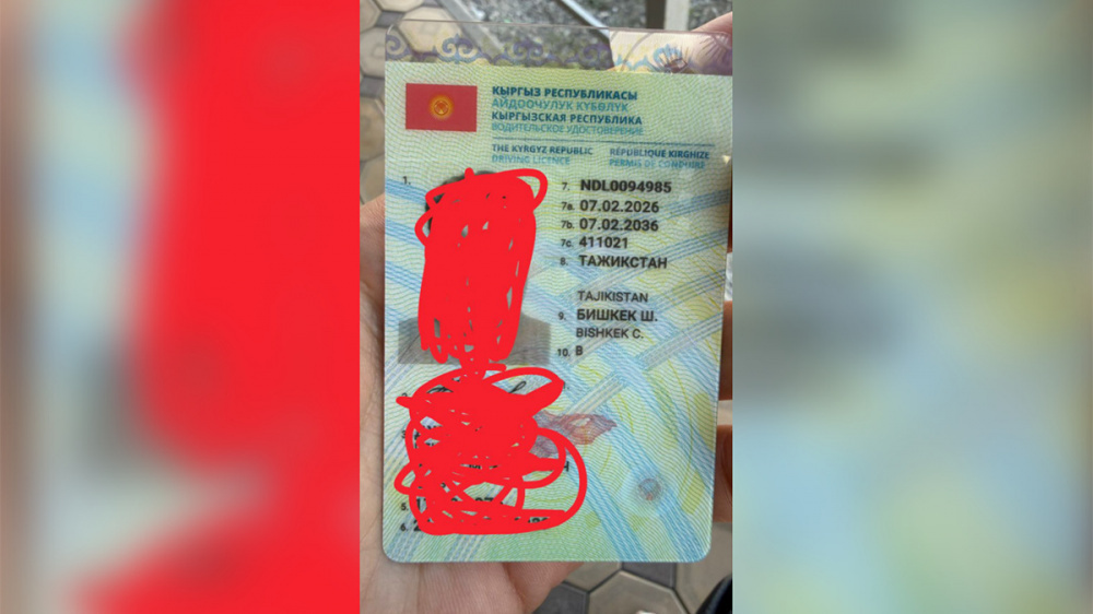 Ошибку в водительском удостоверении исправили. Кто в итоге оказался виноват