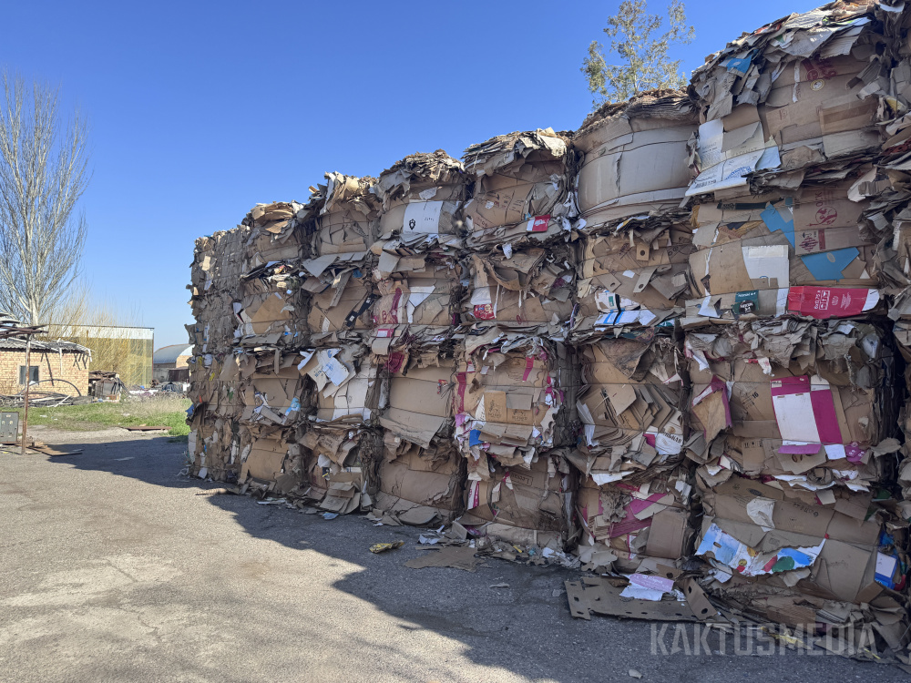 Очереди, низкие цены и вред экологии. Результат запрета на экспорт макулатуры (видео)