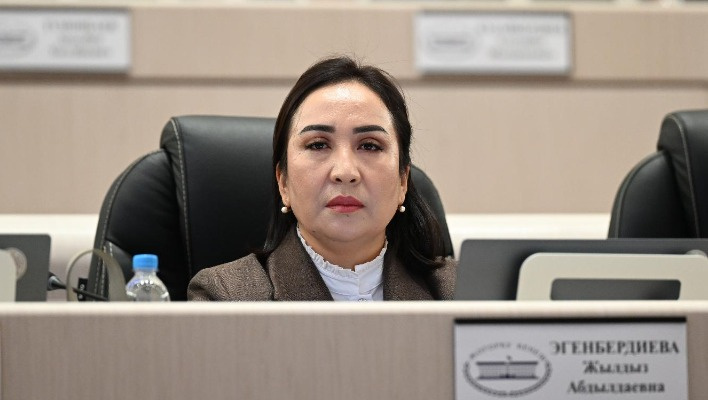 Депутат предлагает бесплатно проводить КТ и МРТ при инсультах