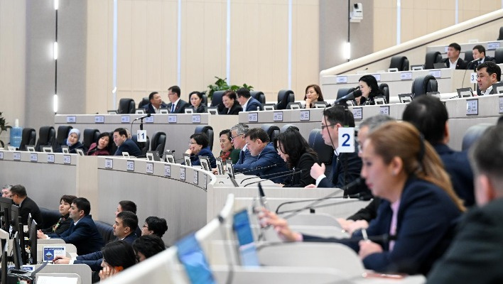 ЖК одобрил сокращение состава ЦИК