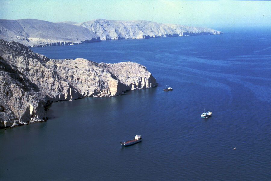 AP: Иран и Оман введут плату за проход судов через Ормузский пролив