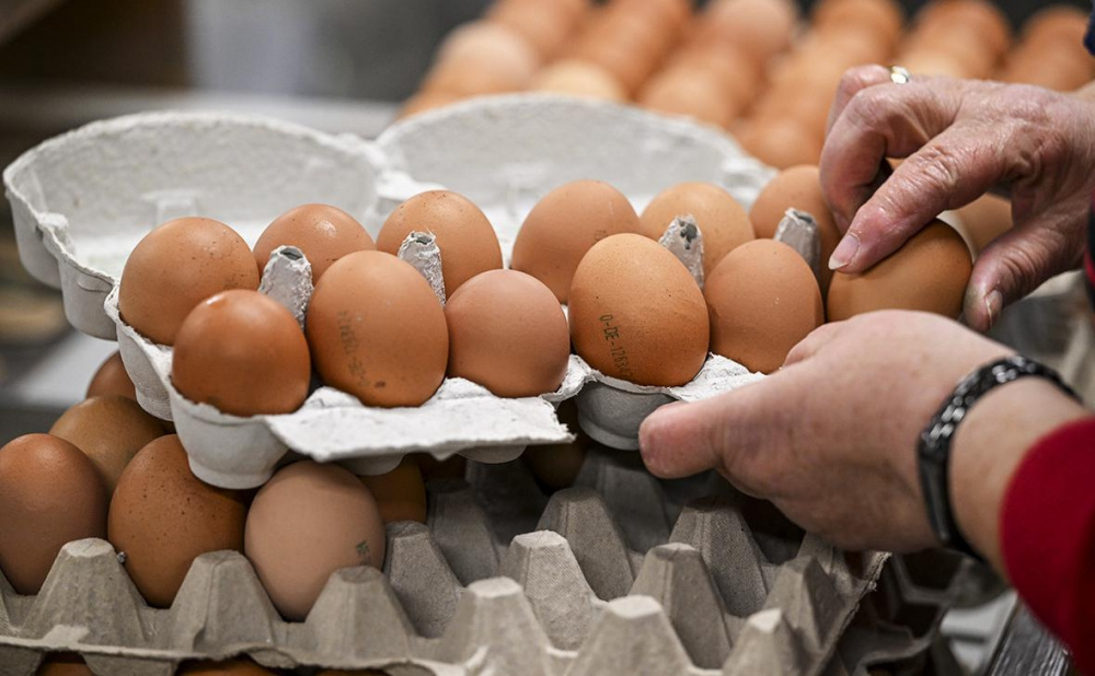 В Минводсельпроме заявили о снижении цен на яйца, лук и рис