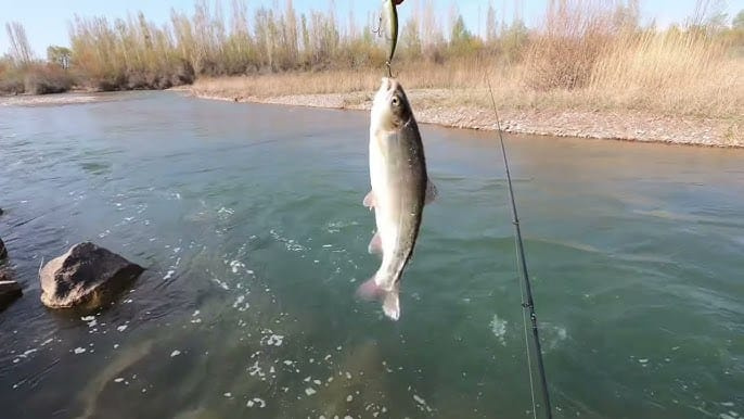 Кыргызстанцам напомнили о правилах безопасности при рыбалке: где ловить запрещено