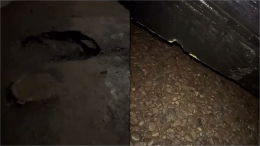 "Кто будет отвечать?" Водитель повредил машину на дефектном участке дороги (видео)