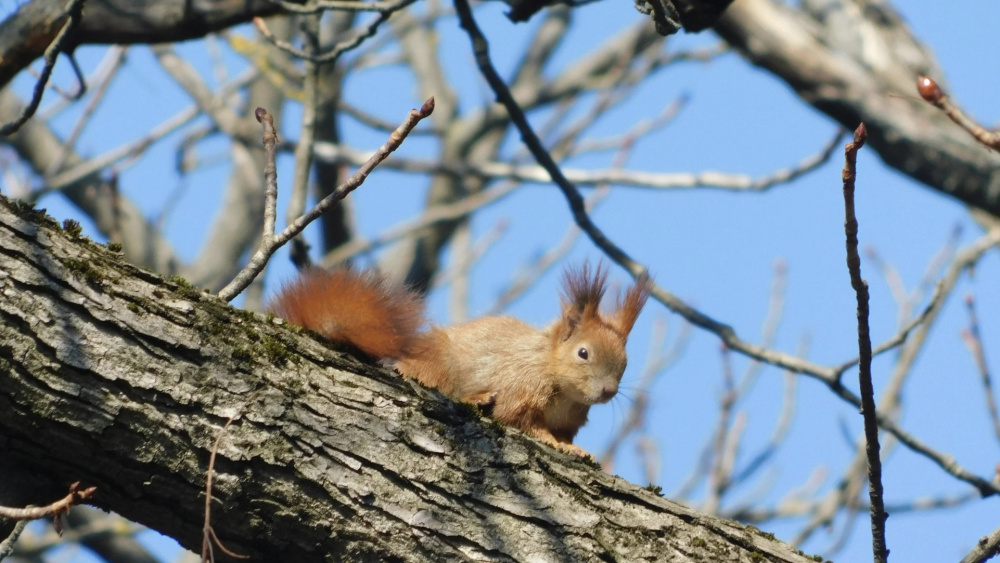 Прогноз погоды в Бишкеке и по Кыргызстану на неделю