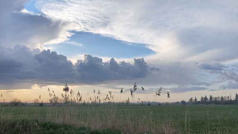 Какой будет погода в Бишкеке 12 апреля?