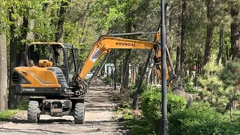 Call-центр: бишкекчанка просит сохранить кусты при реконструкции бульвара Молодой Гвардии