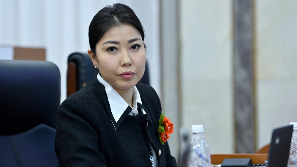 Аида Исатбек кызы назначена замминистра труда, соцобеспечения и миграции