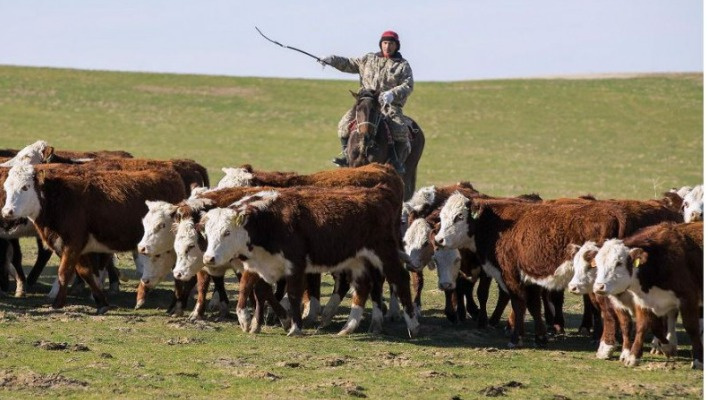 Кабмин упростил пропуск отдельных граждан на приграничную территорию