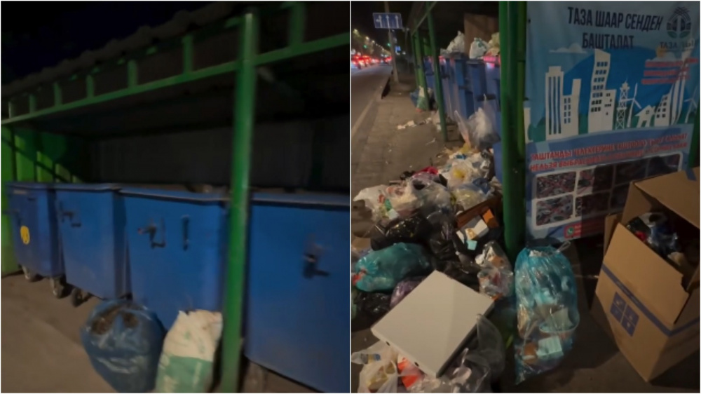 "Отходы рядом с пустыми контейнерами". Горожане продолжают выбрасывать мусор как попало