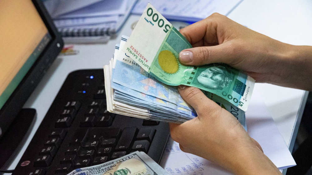 В ЕФСР сообщили о росте кредитных рисков в банковской сфере Кыргызстана