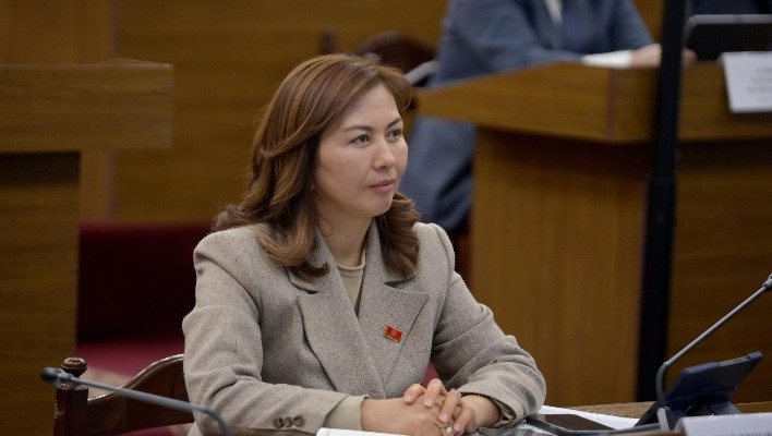 В ЖК просят разблокировать TikTok