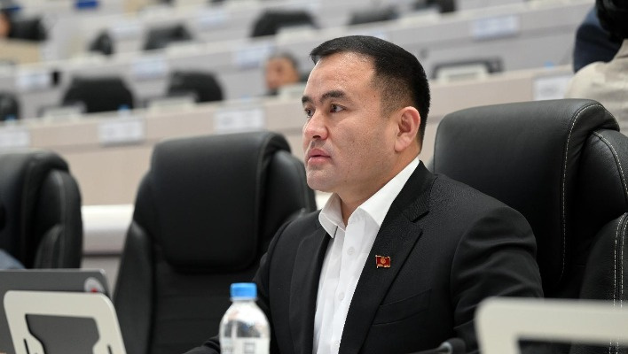 Депутат предлагает позволить покупку разрешения на тонировку авто на короткий срок