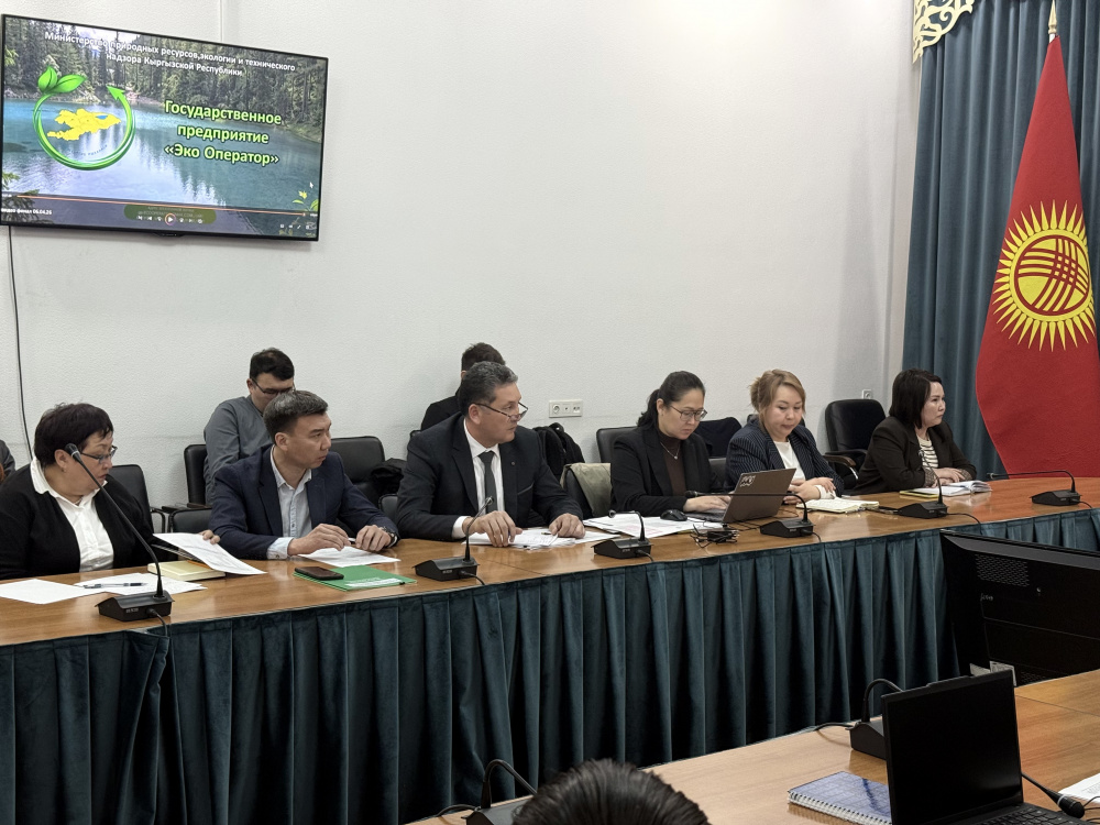 Диалог государства и бизнеса: как создать систему, где отходы приносят прибыль