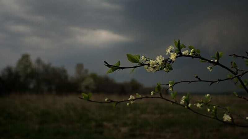 Какой будет погода в Бишкеке 19 апреля?