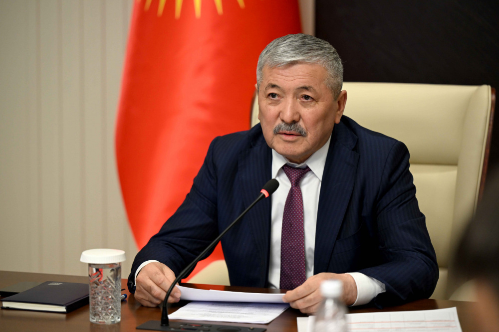 Глава кабмина потребовал от госорганов и местных властей не футболить инвесторов