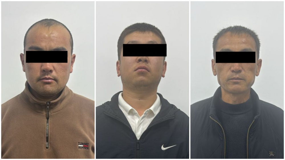 Закидали камнями машину, разбили стекла. Троих мужчин задержали по делу о хулиганстве