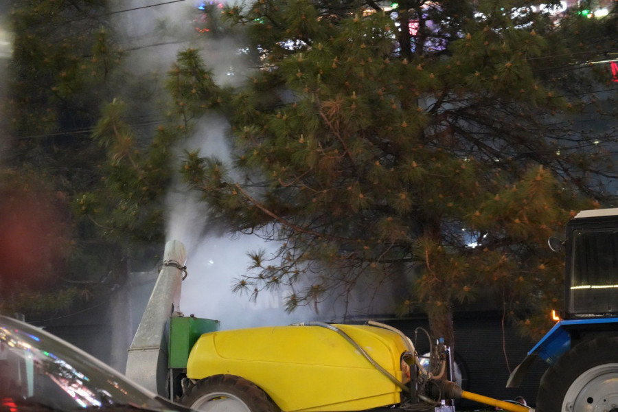 В Бишкеке начинают химобработку деревьев. Жителей просят воздержаться от таких мест