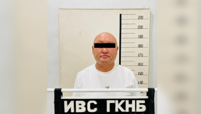 Бывшего советника президента Жаныбека Кубандыкова отправили в СИЗО