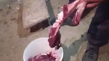Экологи и милиционеры обнаружили мясо горного козла после сообщения о незаконной охоте