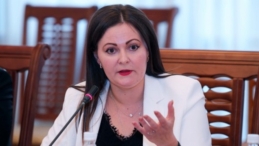 Наталья Никитенко назначена директором Центра развития парла