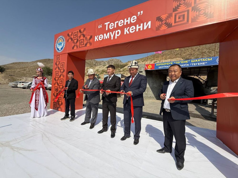 В Аксыйском районе открыли угольное месторождение Тегене.