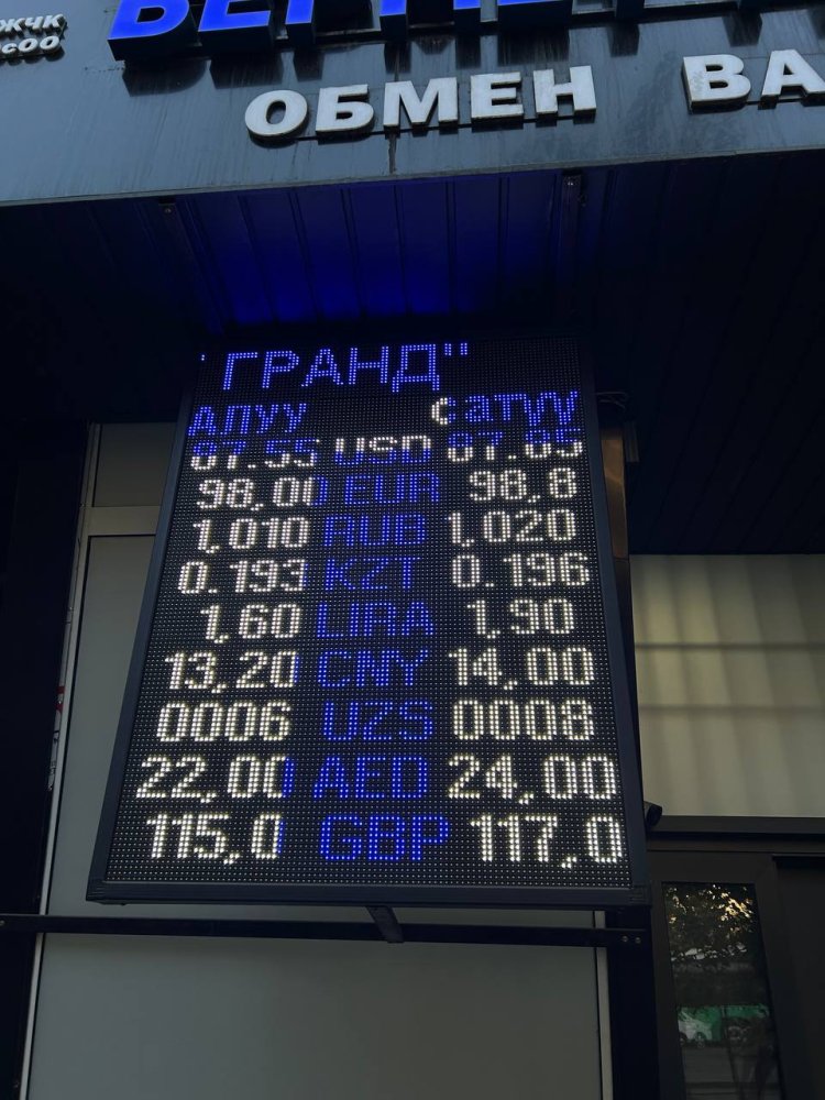 Сүрөт: Kaktus.media