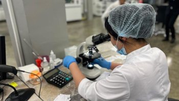 На конкурс Академического инновационного фонда поступило 126 проектов