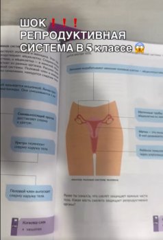 Пятиклассники будут изучать репродуктивную систему. Издатели прокомментировали дискуссию