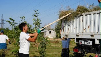 После субботника из Бишкека вывезли более 230 тонн мусора