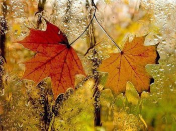 Фото: ru.pinterest.com/Lerok_off.