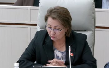 "Одна интерактивная доска на всю школу". Депутат просит Минпросвещения решить проблему