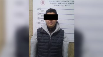 После концерта Шакиры в Бишкеке мужчину привлекли к ответственности за хулиганство