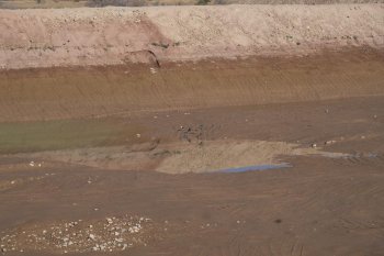 Водозабор "Орто-Алыш" озеленят. И заодно проверят законность построек вокруг