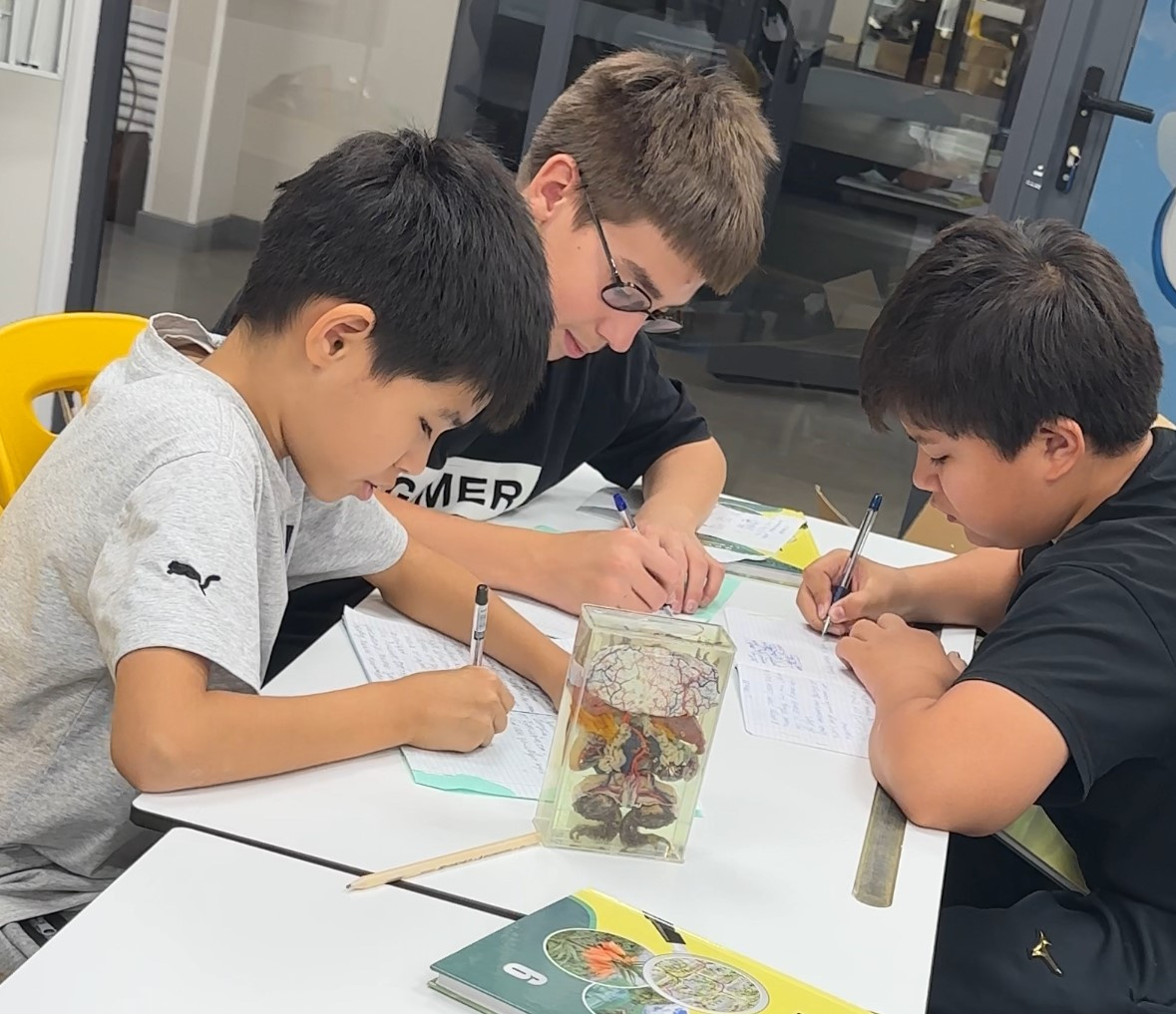 Почему мы делаем науку частью школьной жизни?