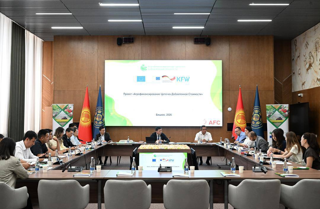 Сүрөт: Kaktus.media