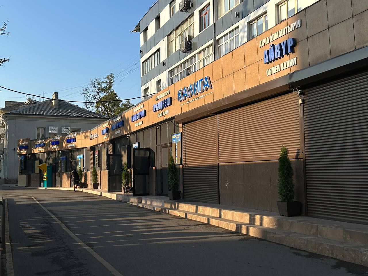 Сүрөт: Kaktus.media